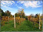 foto Colli Asolani in Autunno